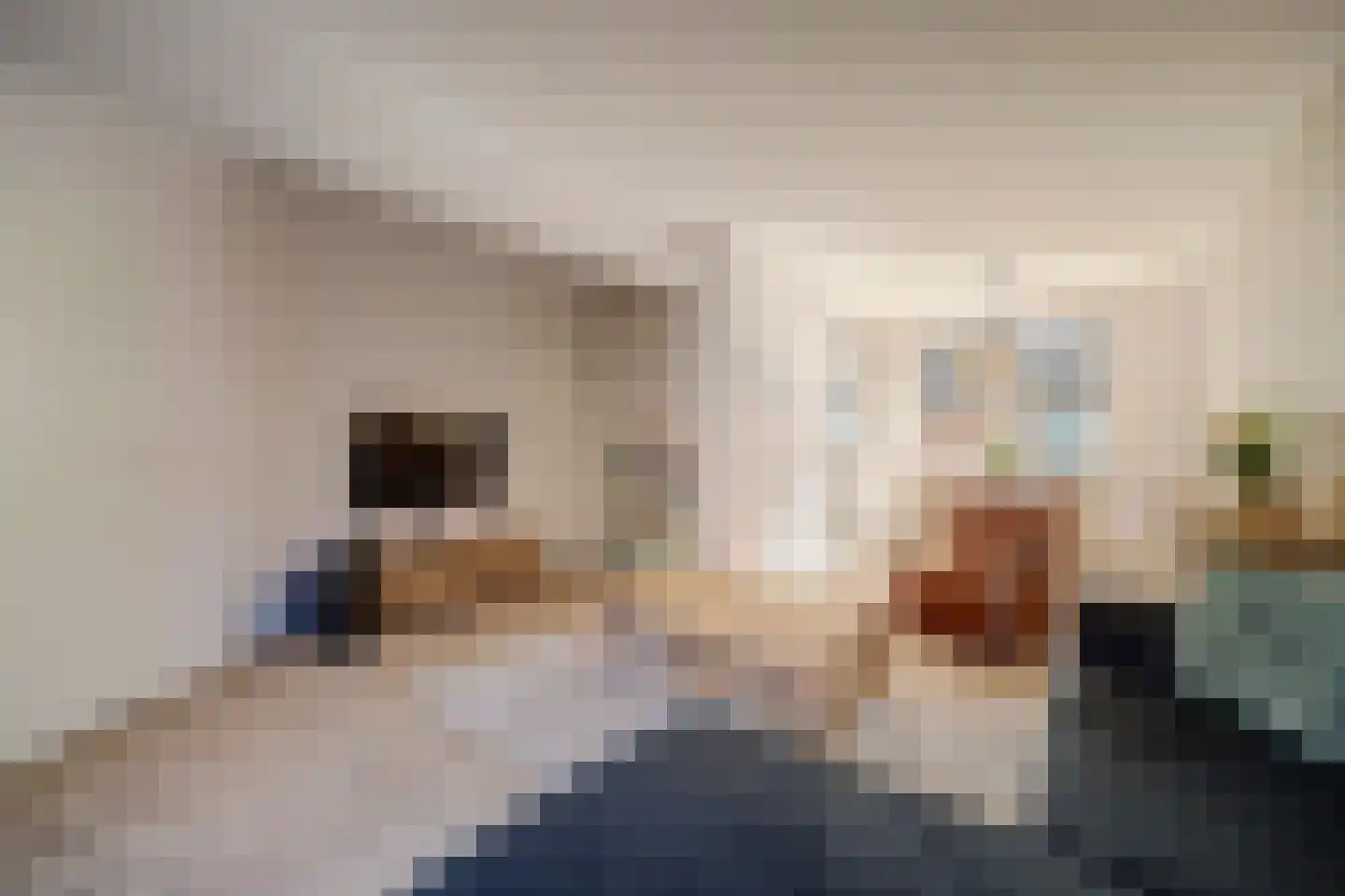 Burg.s'Jacoblaan 11 Leersum thumbnail 4