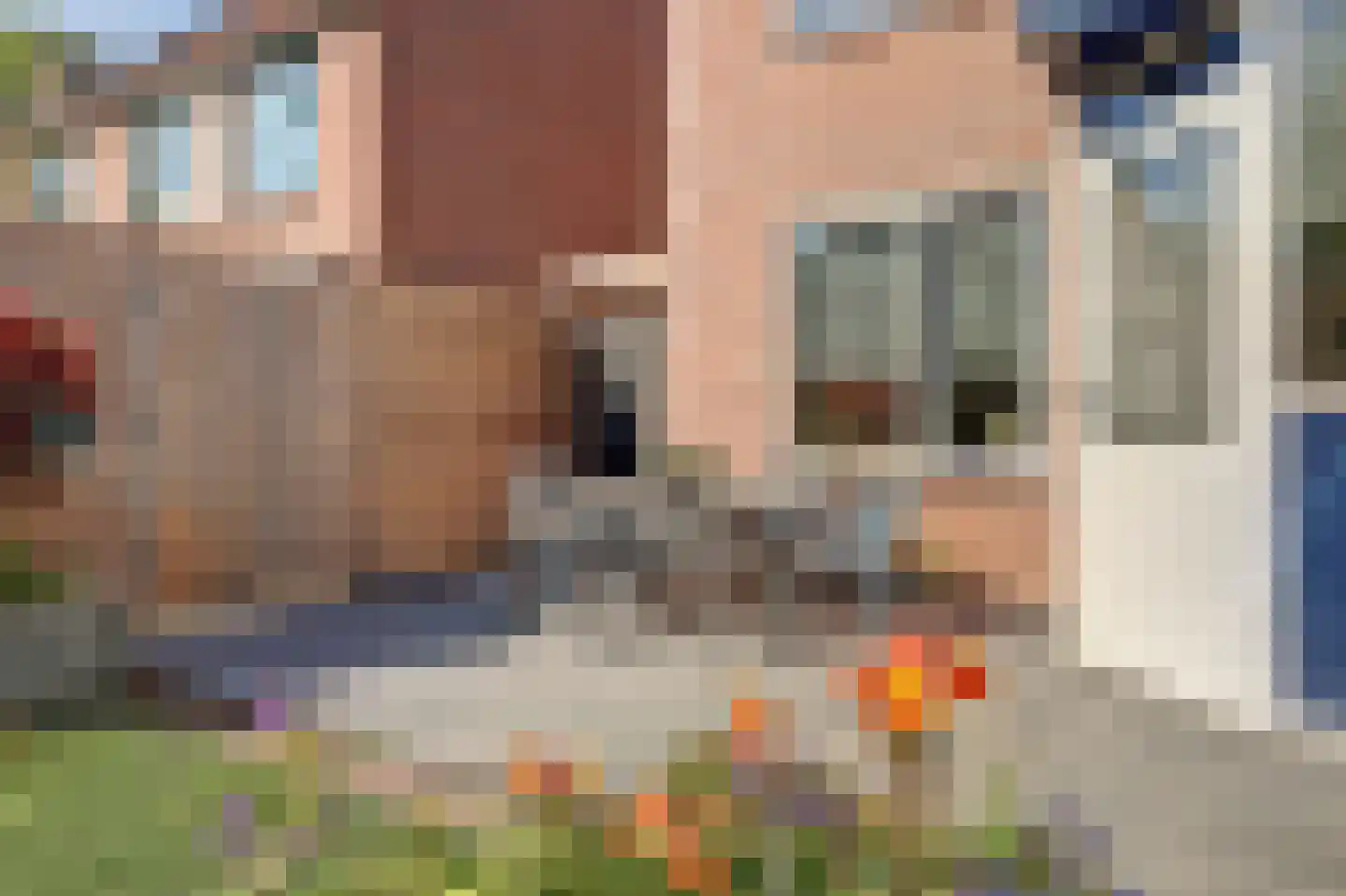 Burg.s'Jacoblaan 11 Leersum thumbnail 53