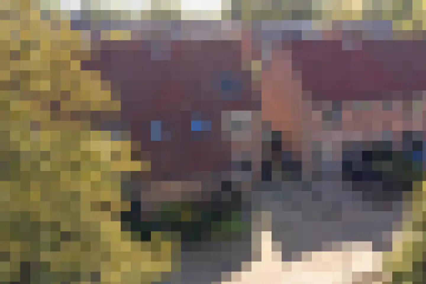 Burg.s'Jacoblaan 11 Leersum thumbnail 57