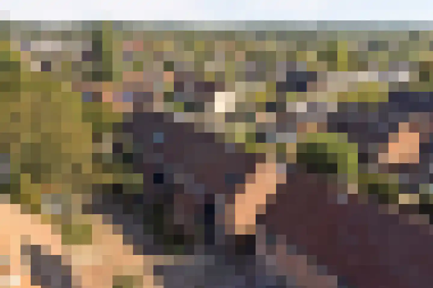 Burg.s'Jacoblaan 11 Leersum thumbnail 60