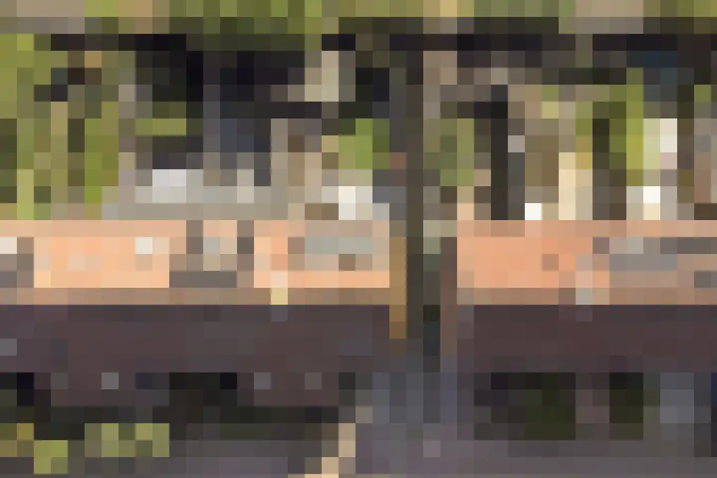Burg.s'Jacoblaan 11 Leersum thumbnail 61