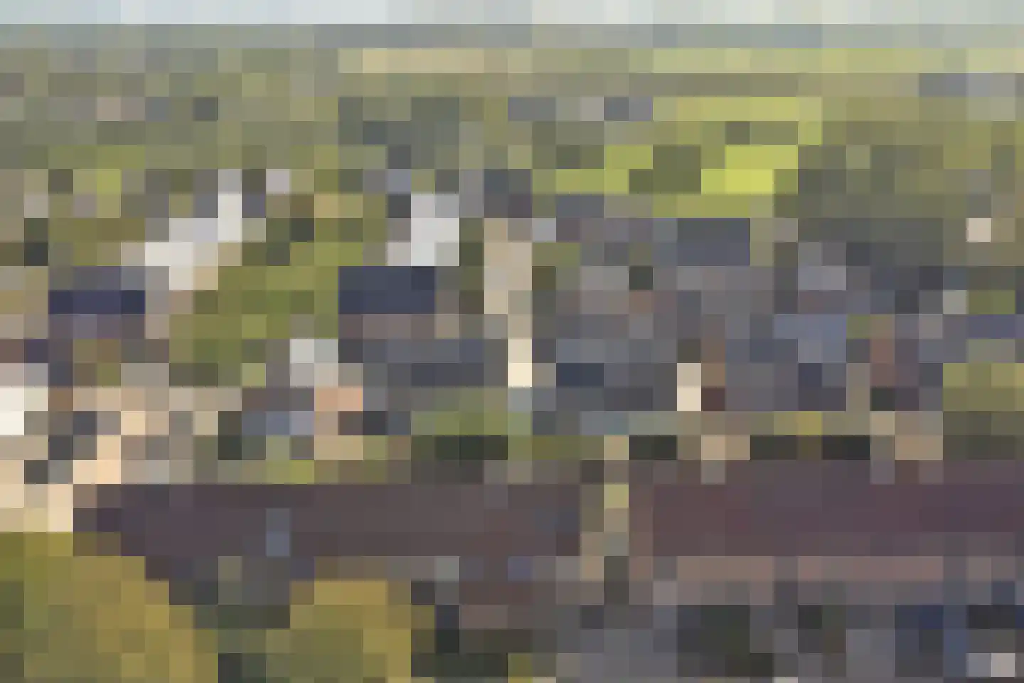 Burg.s'Jacoblaan 11 Leersum thumbnail 63