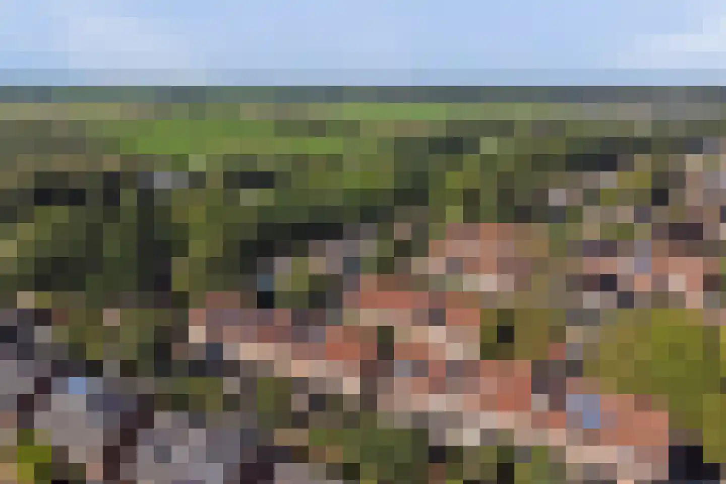 Burg.s'Jacoblaan 11 Leersum thumbnail 65