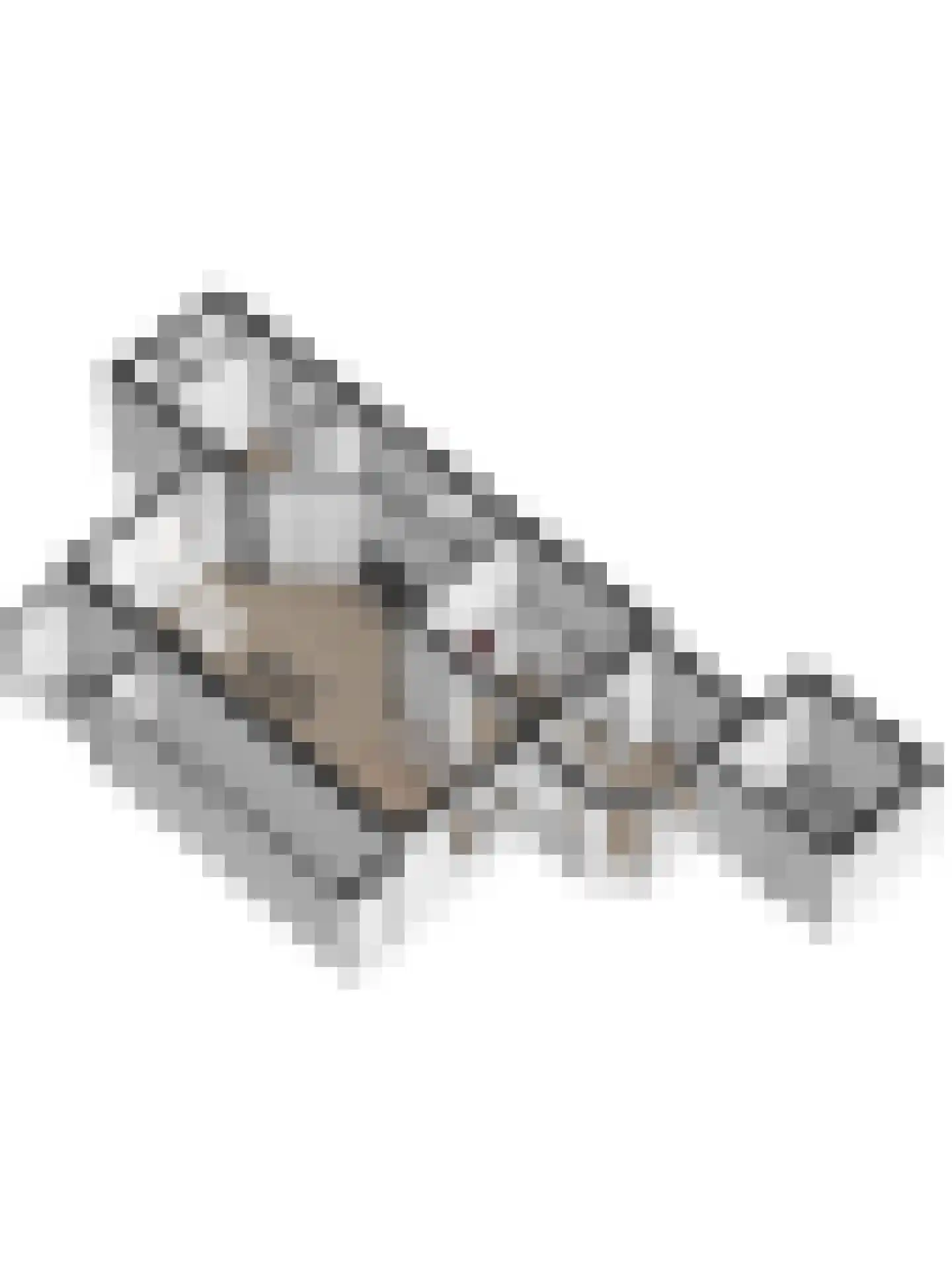 Burg.s'Jacoblaan 11 Leersum thumbnail 68