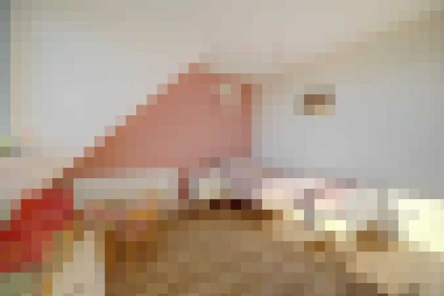 Burg.s'Jacoblaan 11 Leersum thumbnail 9