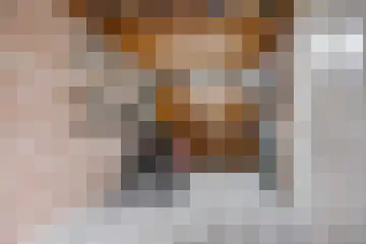 Burg. S. Schagenstraat 7 Oterleek thumbnail 30
