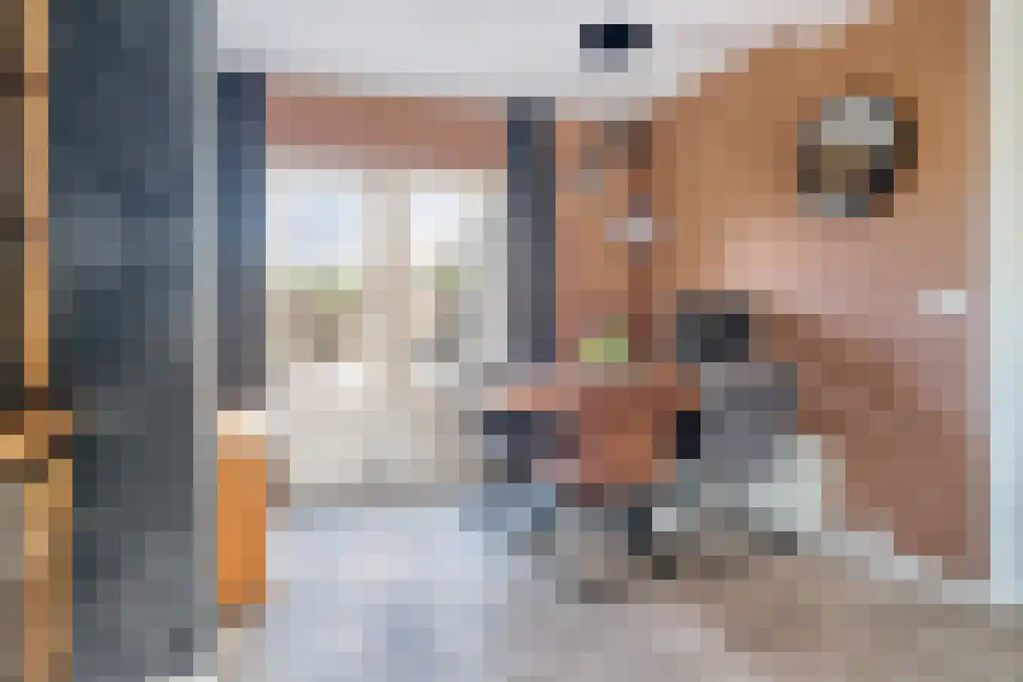 Burg Sandbergstraat 27 Krabbendijke thumbnail 14