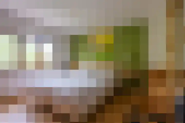 Burg.Savelberglaan 10 A Kerkrade thumbnail 13