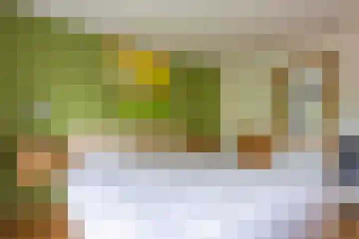 Burg.Savelberglaan 10 A Kerkrade thumbnail 14