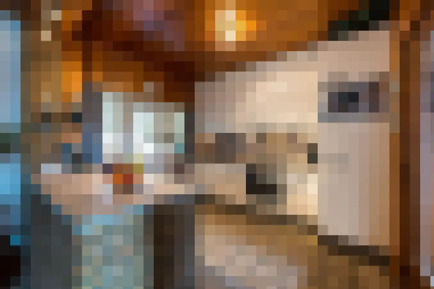Burg.Savelberglaan 2 Kerkrade thumbnail 8