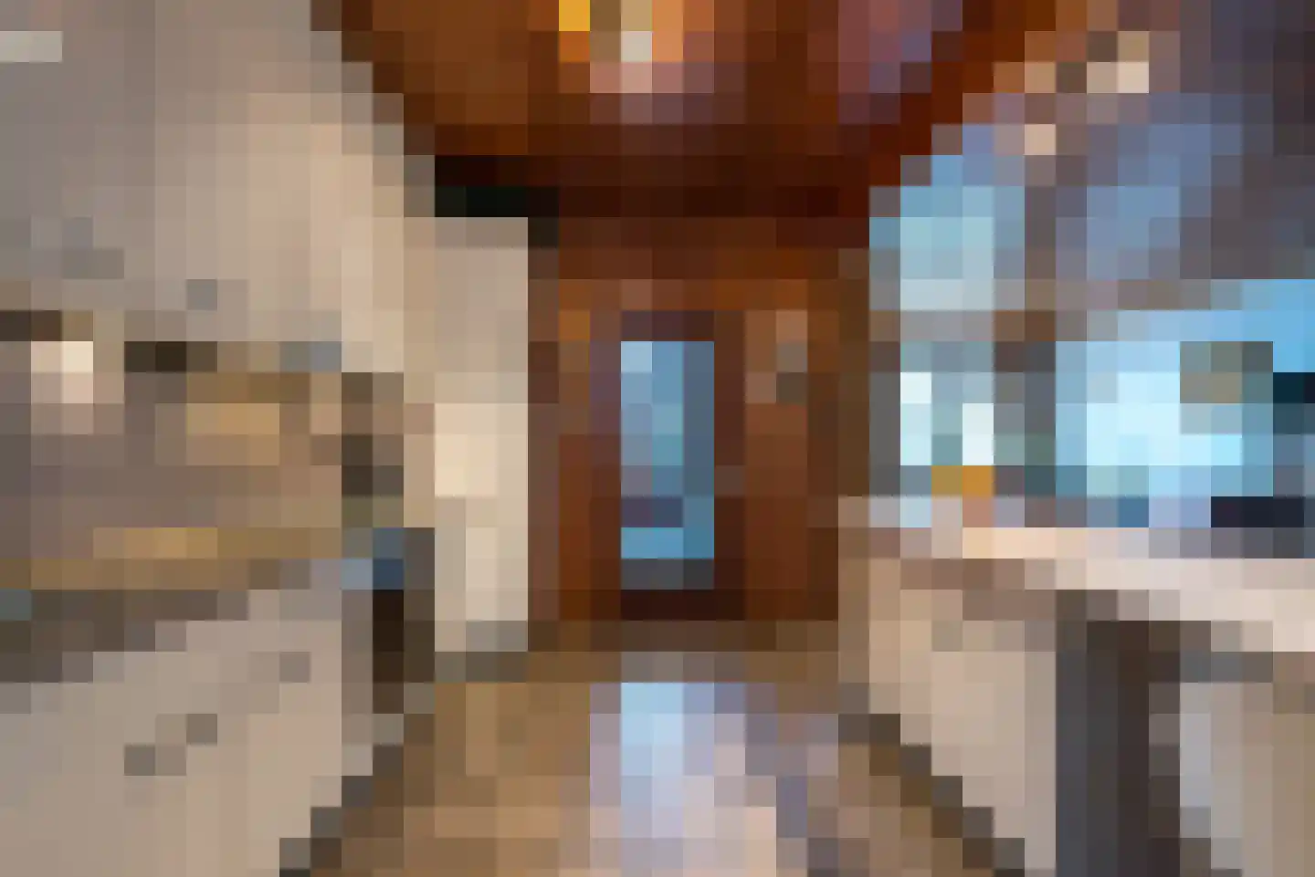Burg.Savelberglaan 2 Kerkrade thumbnail 9