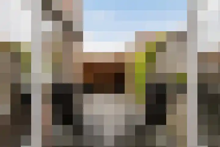 Burg. Schalijstraat 18 Woerden thumbnail 22