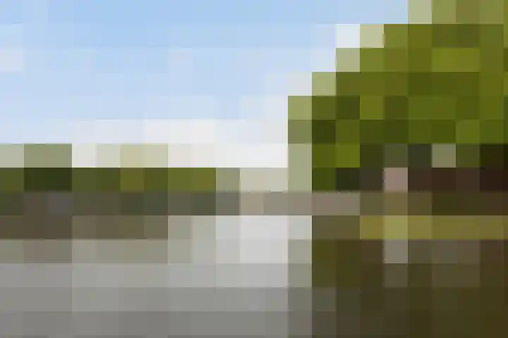 Burg. Schalijstraat 18 Woerden thumbnail 47