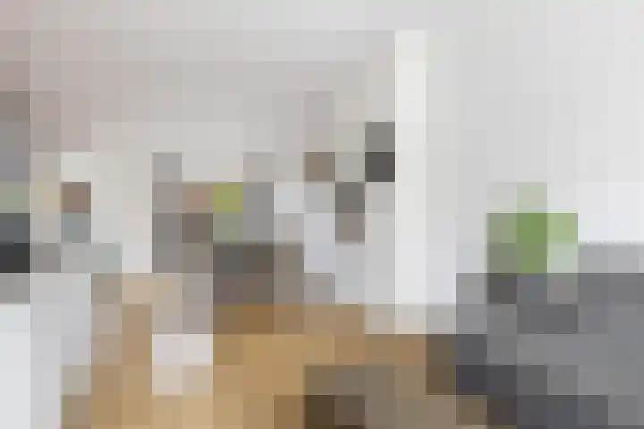 Burg. Schalijstraat 18 Woerden thumbnail 8