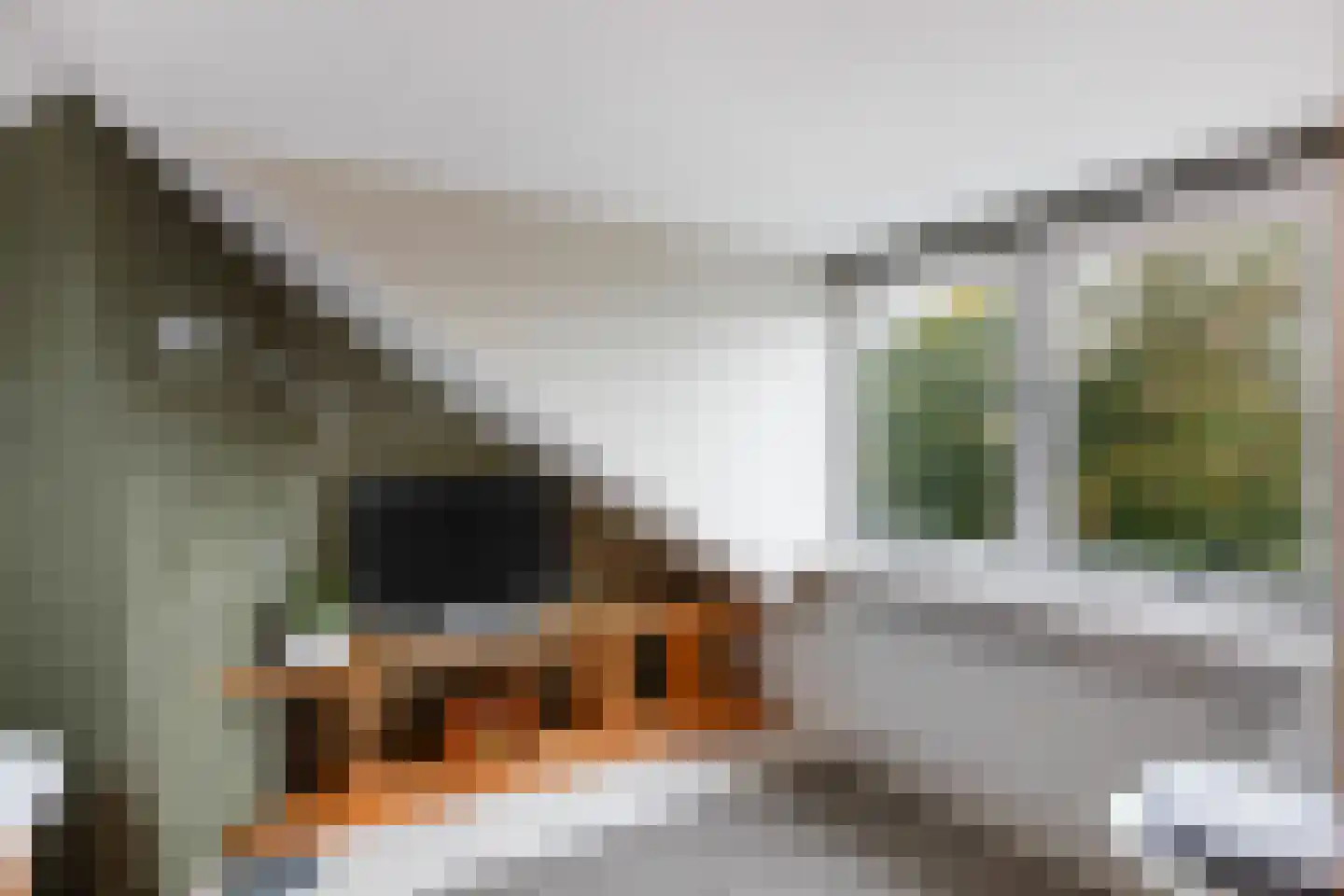Burg. Schalijstraat 22 Woerden thumbnail 32