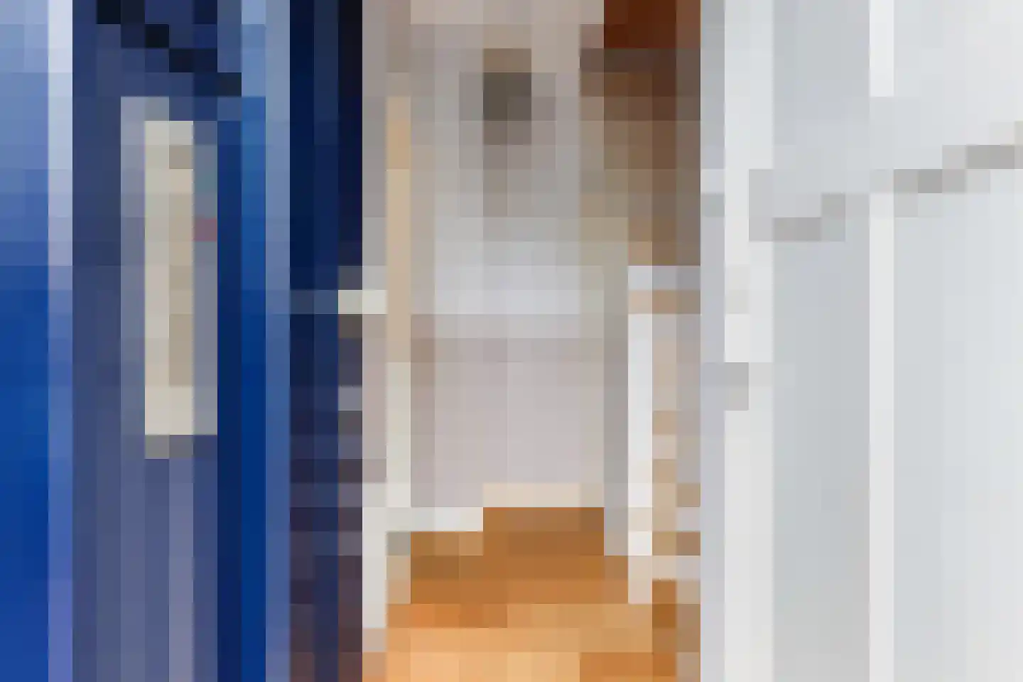 Burg. Schalijstraat 22 Woerden thumbnail 5