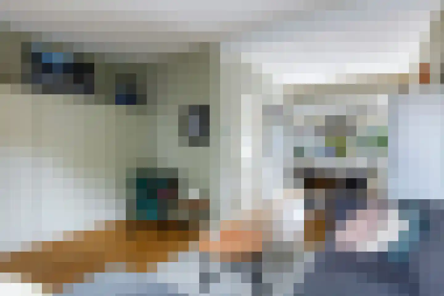 Burg. Schalijstraat 22 Woerden thumbnail 8