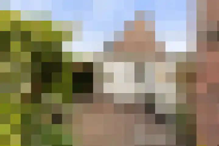 Burg. Schalijstraat 25 Woerden thumbnail 41