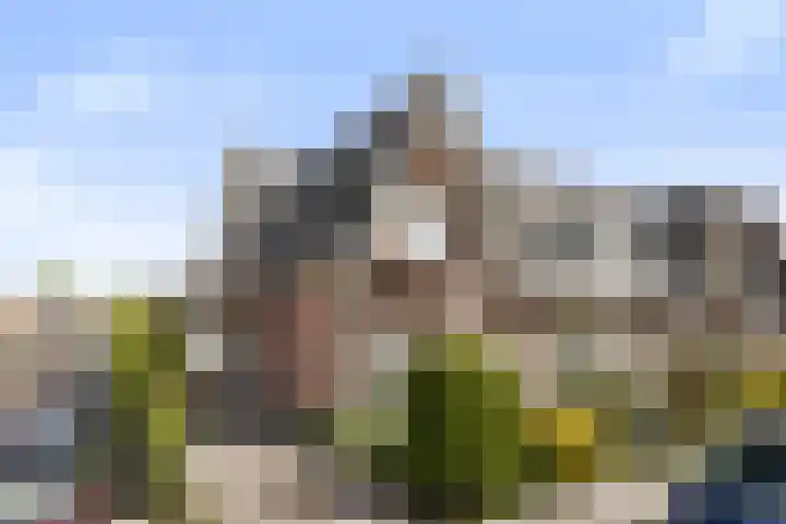 Burg. Schalijstraat 25 Woerden thumbnail 5