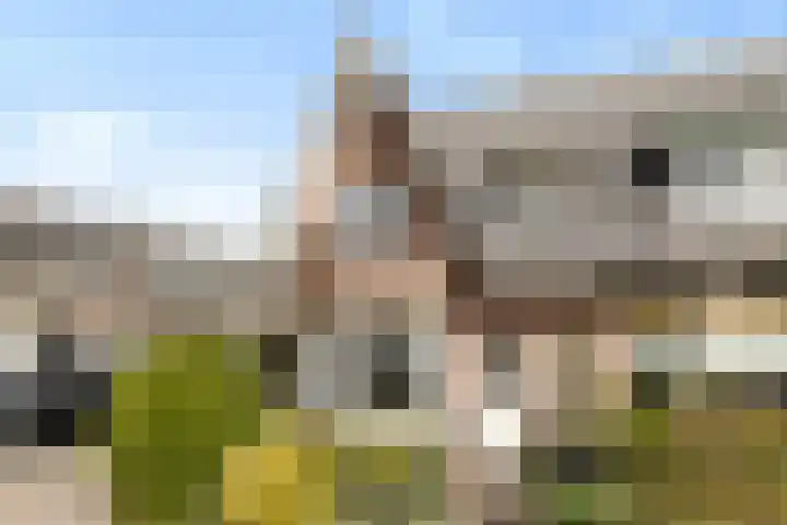 Burg. Schalijstraat 25 Woerden thumbnail 6