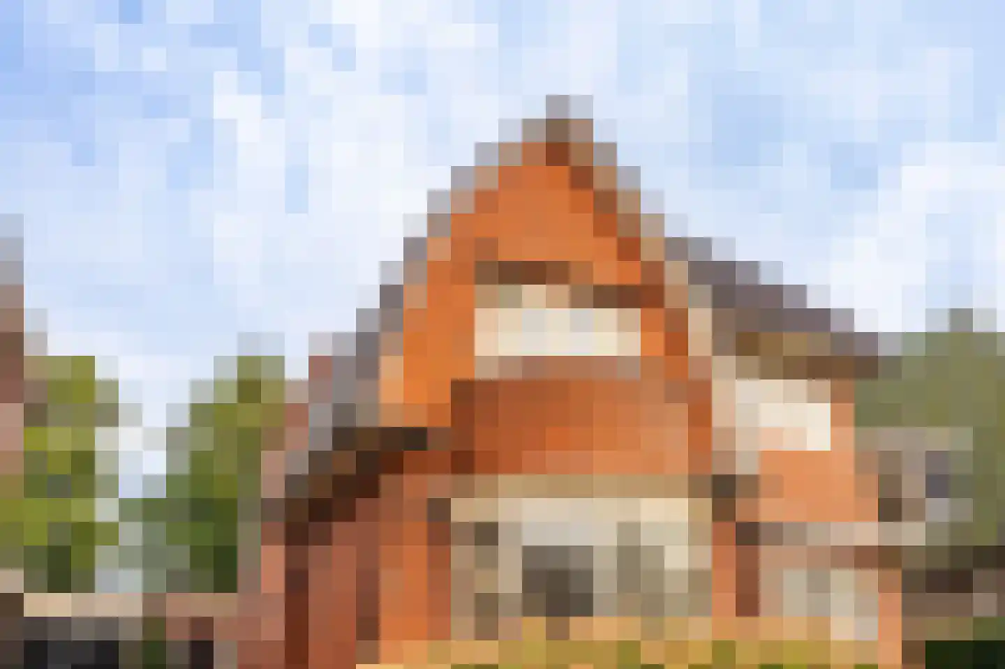 Burg. Schönfeldsingel 13 Winschoten thumbnail 11