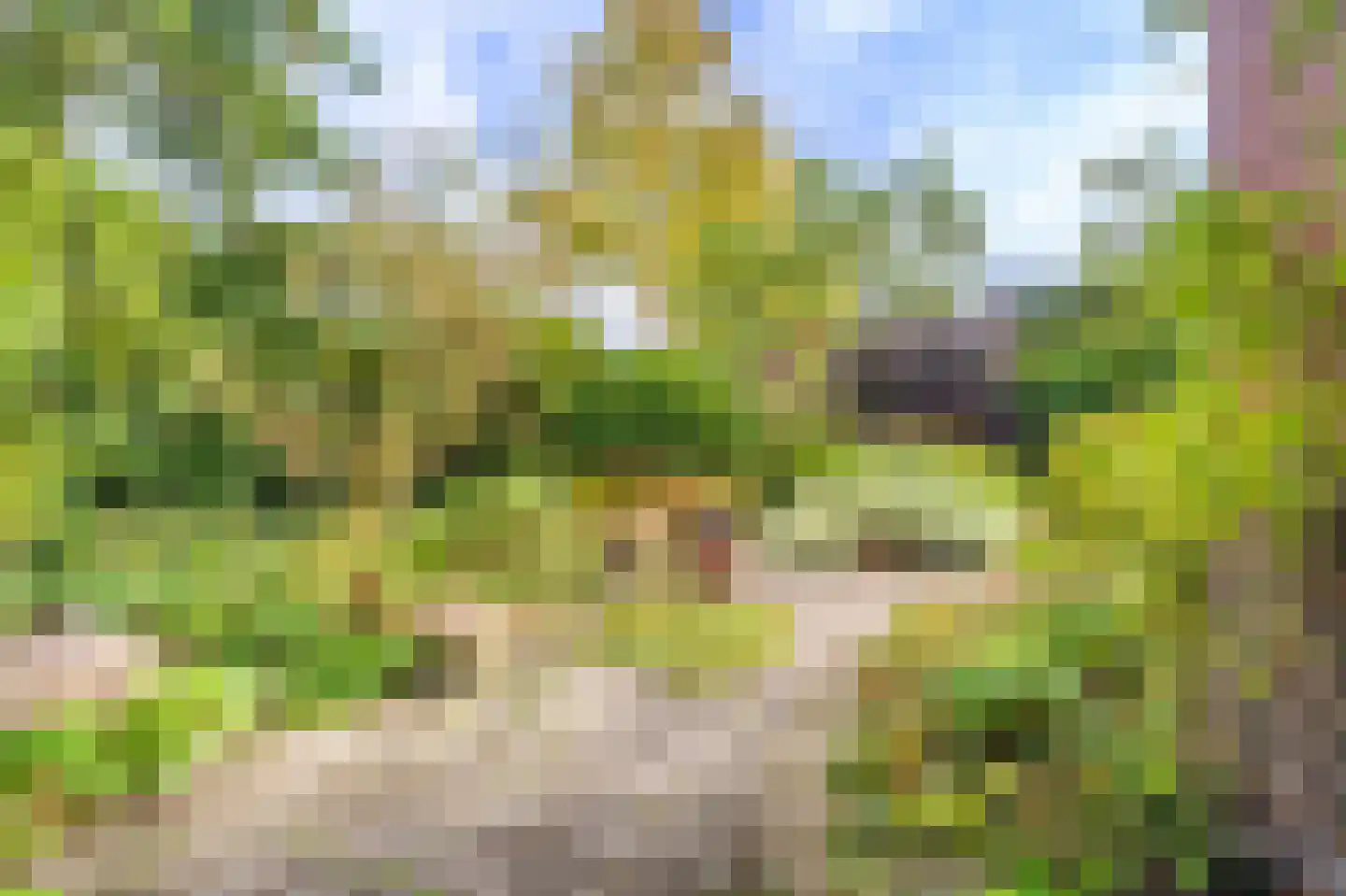 Burg. Schönfeldsingel 13 Winschoten thumbnail 37