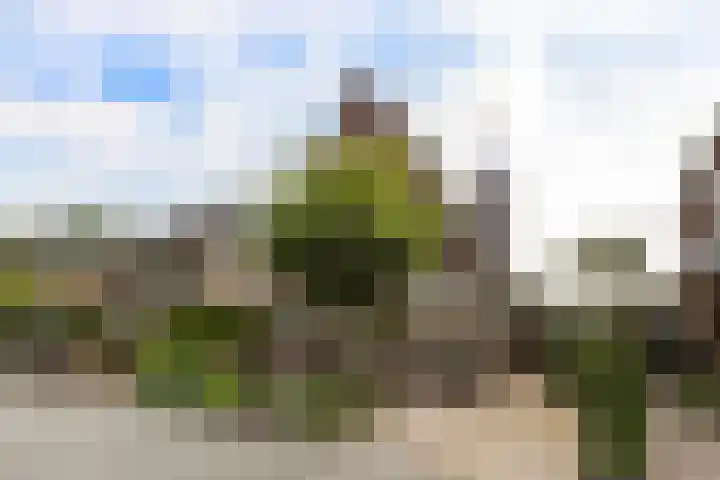 Burg. Schönfeldsingel 19 Winschoten thumbnail 47