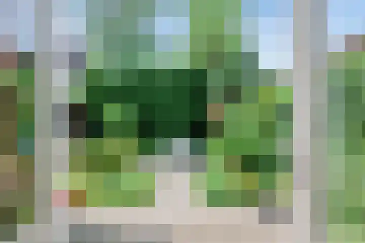 Burg. Schönfeldsingel 2 Winschoten thumbnail 15