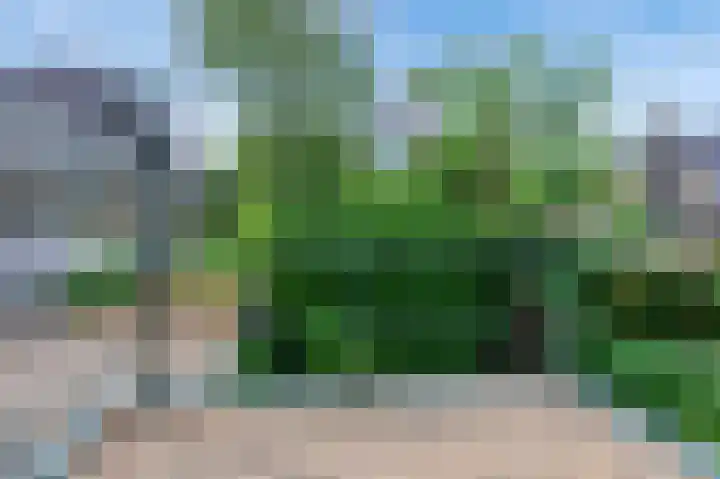 Burg. Schönfeldsingel 2 Winschoten thumbnail 37