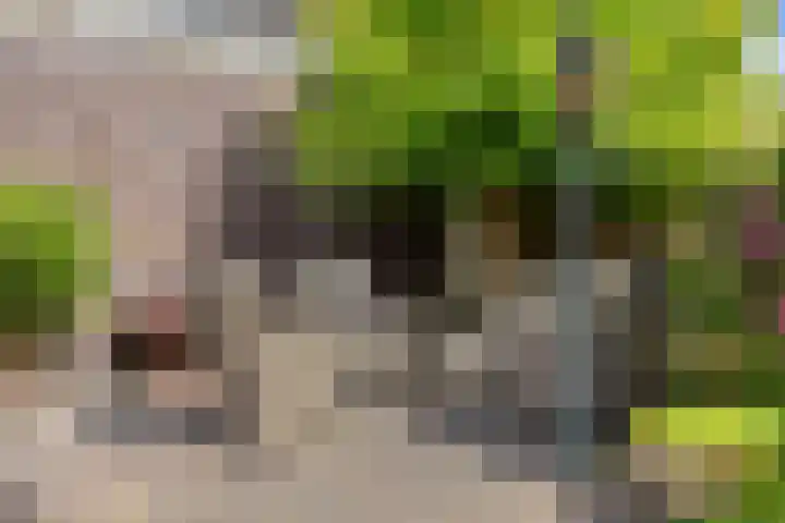 Burg. Schönfeldsingel 51 Winschoten thumbnail 64