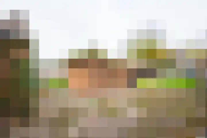 Burg Schoolmeestersstraat 12 Roosteren thumbnail 24