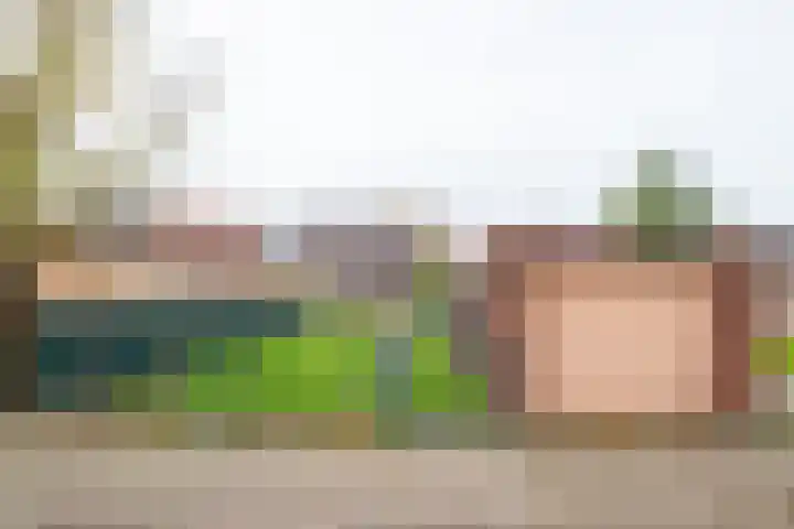 Burg Schoolmeestersstraat 12 Roosteren thumbnail 25