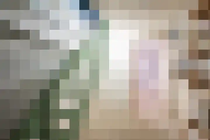 Burg Schoolmeestersstraat 23 Roosteren thumbnail 8