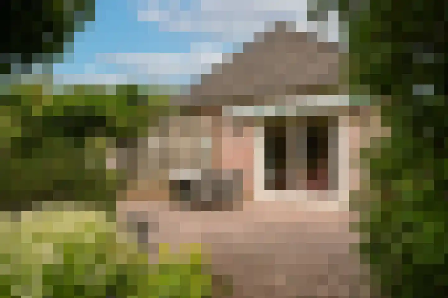 Burg. Schuijtstraat 3 Beneden-Leeuwen thumbnail 37
