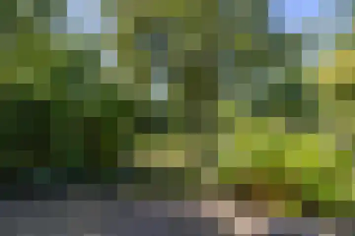 Burg Seinenstraat 75 Aduard thumbnail 28