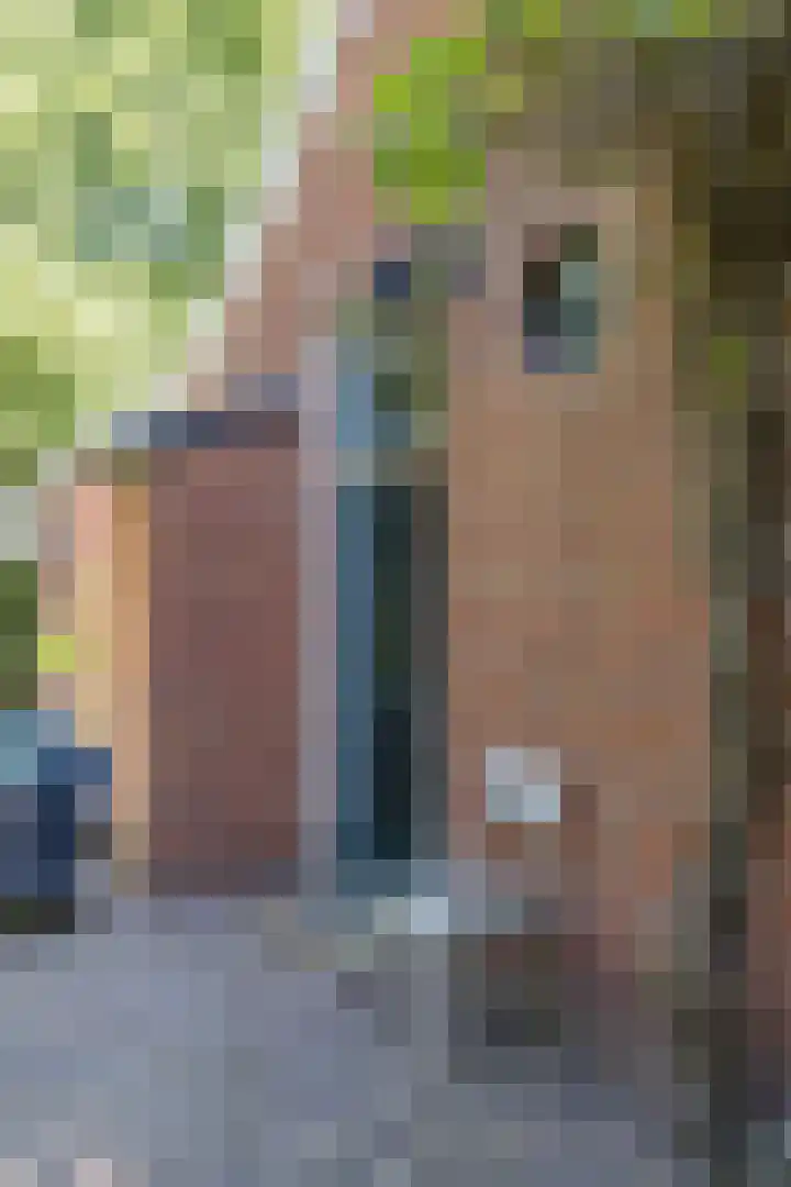 Burg Seinenstraat 75 Aduard thumbnail 35