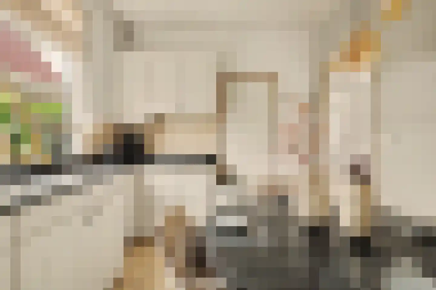 Burg Sinkelaan 10 Yerseke thumbnail 11