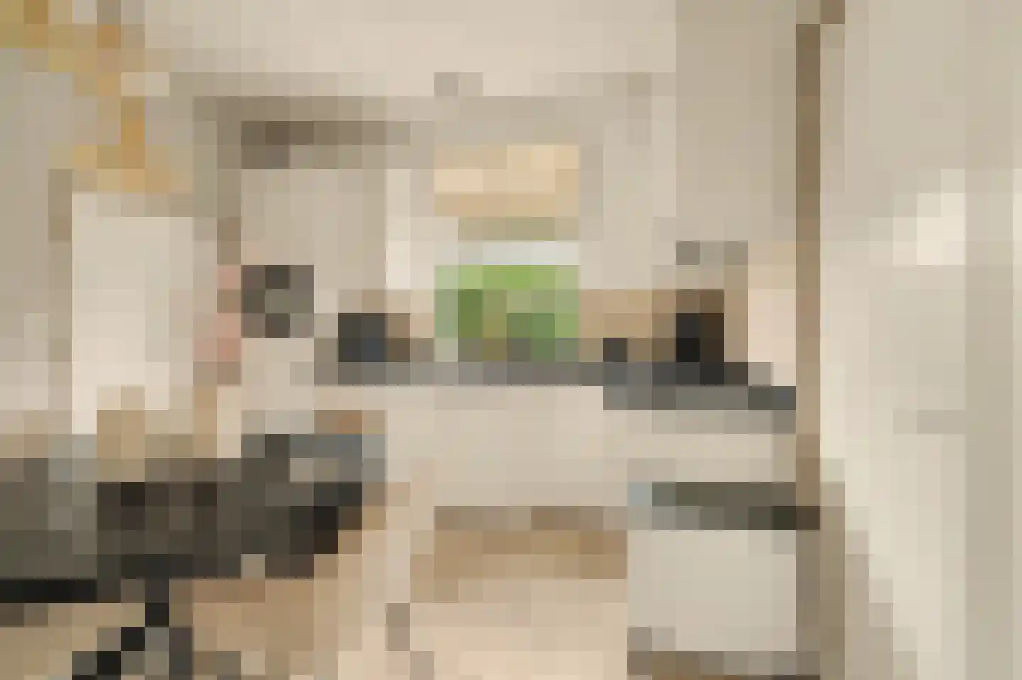 Burg Sinkelaan 10 Yerseke thumbnail 12