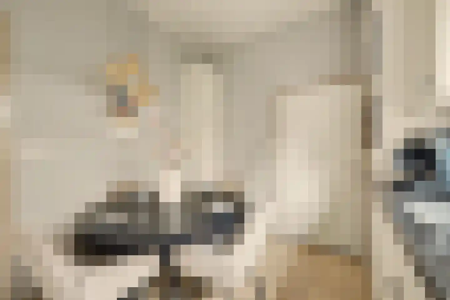 Burg Sinkelaan 10 Yerseke thumbnail 13