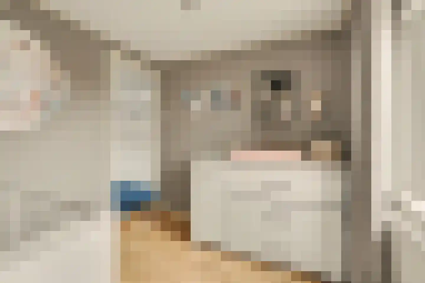Burg Sinkelaan 10 Yerseke thumbnail 22