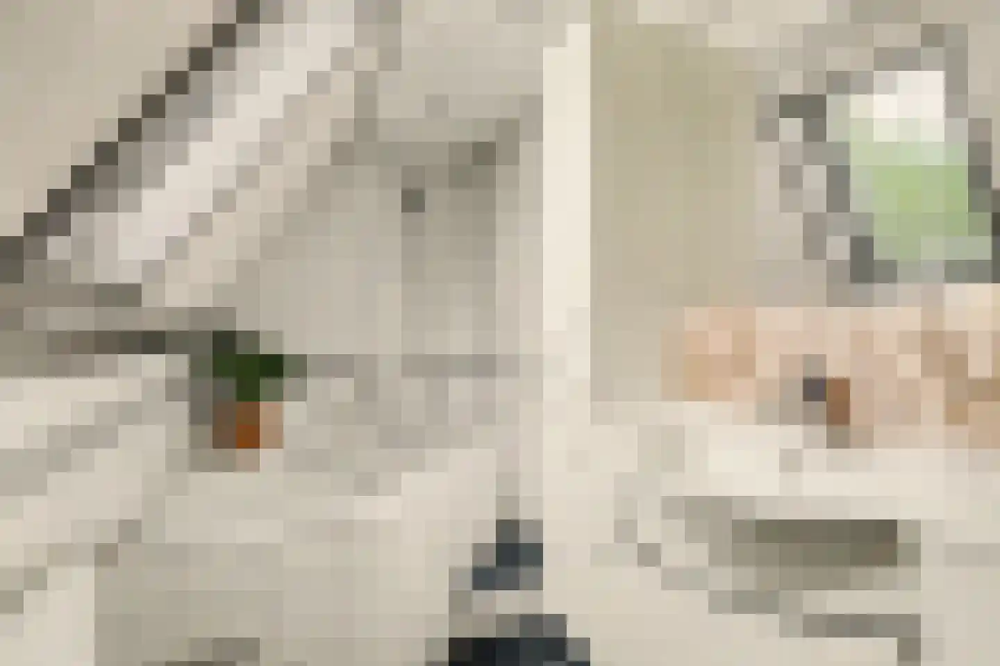 Burg Sinkelaan 10 Yerseke thumbnail 23