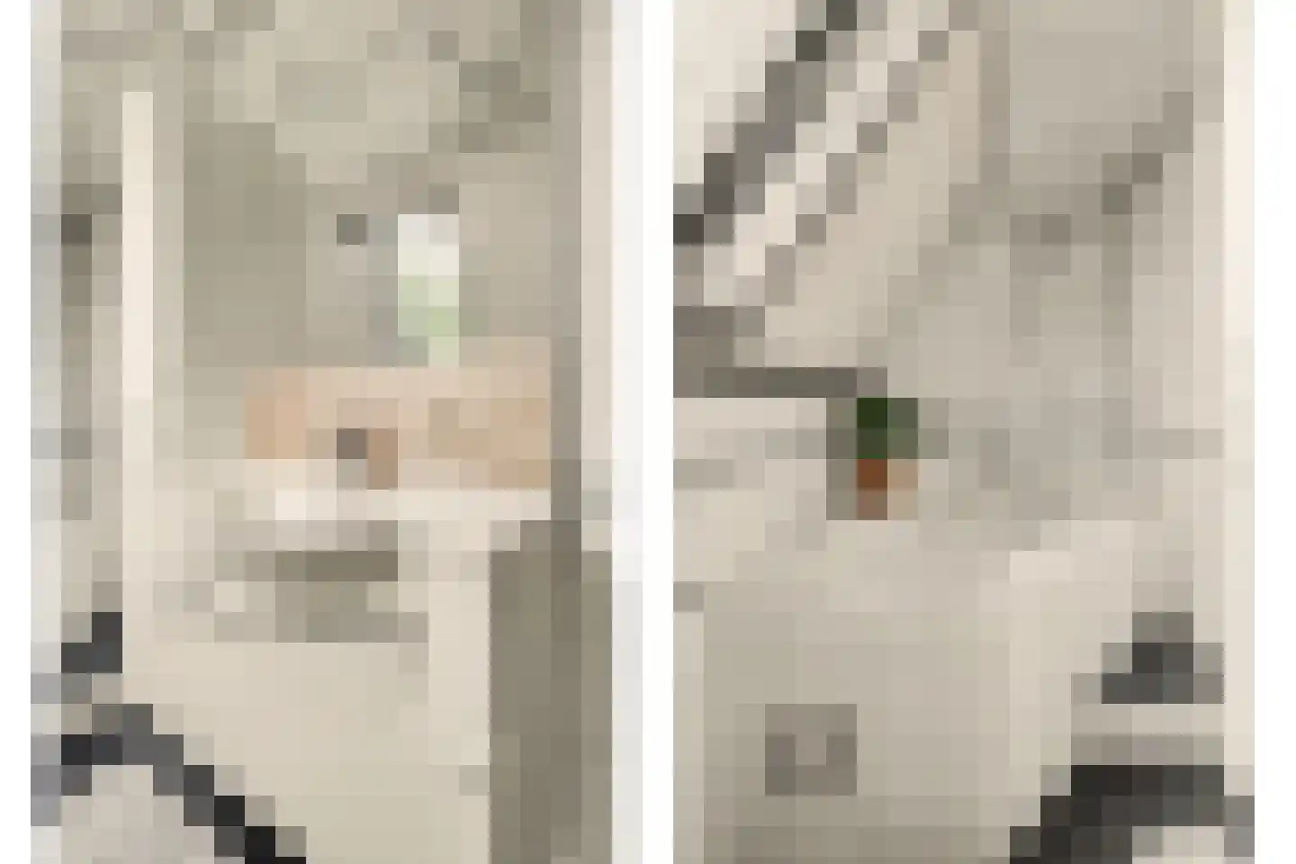 Burg Sinkelaan 10 Yerseke thumbnail 24