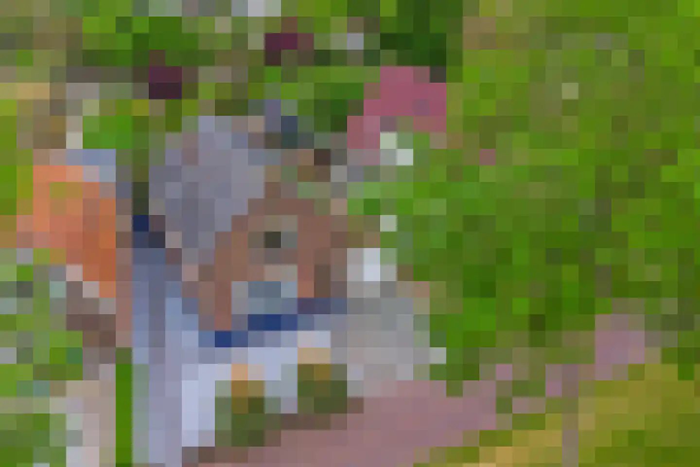 Burg Sinkelaan 10 Yerseke thumbnail 32
