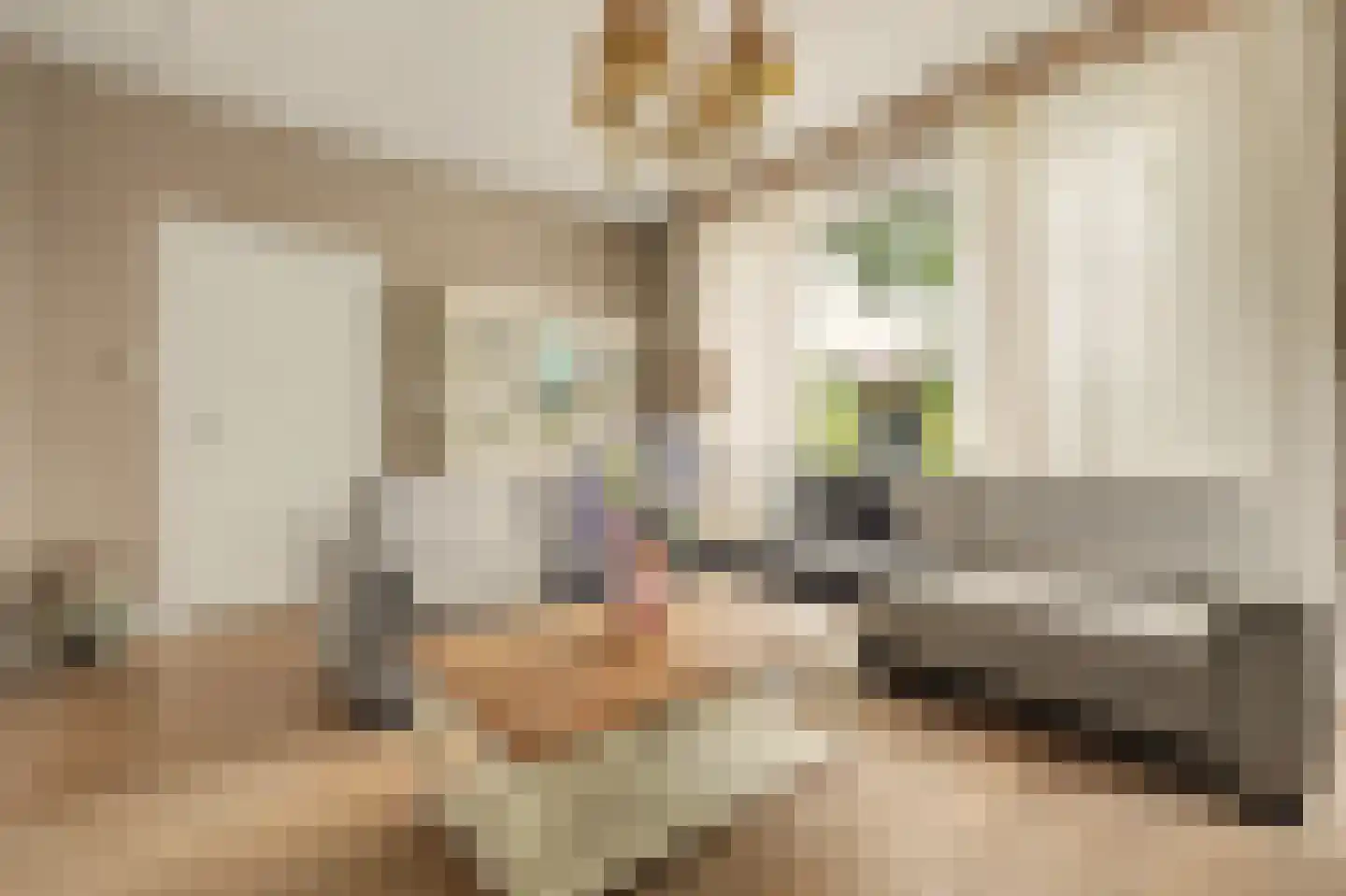 Burg Sinkelaan 10 Yerseke thumbnail 7