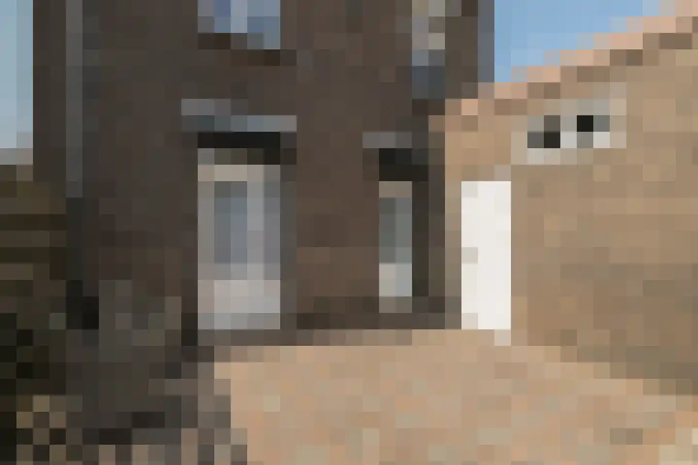 Burg. Slanghenstraat 11 Hoensbroek thumbnail 27