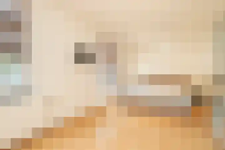 Burg. Slanghenstraat 11 Hoensbroek thumbnail 27
