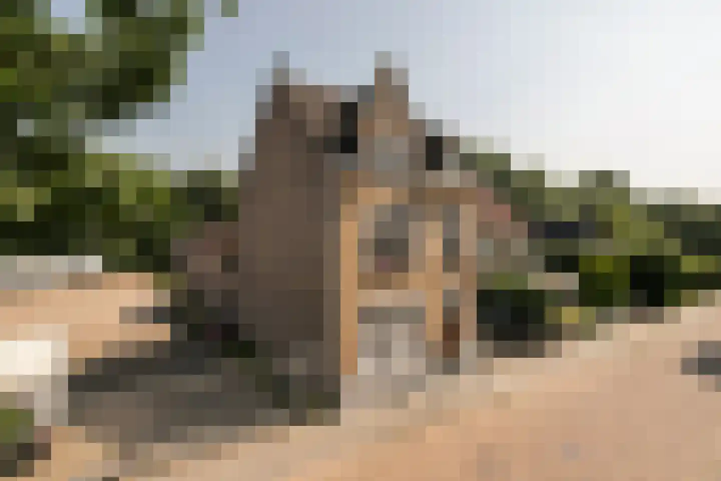Burg. Slanghenstraat 11 Hoensbroek thumbnail 5
