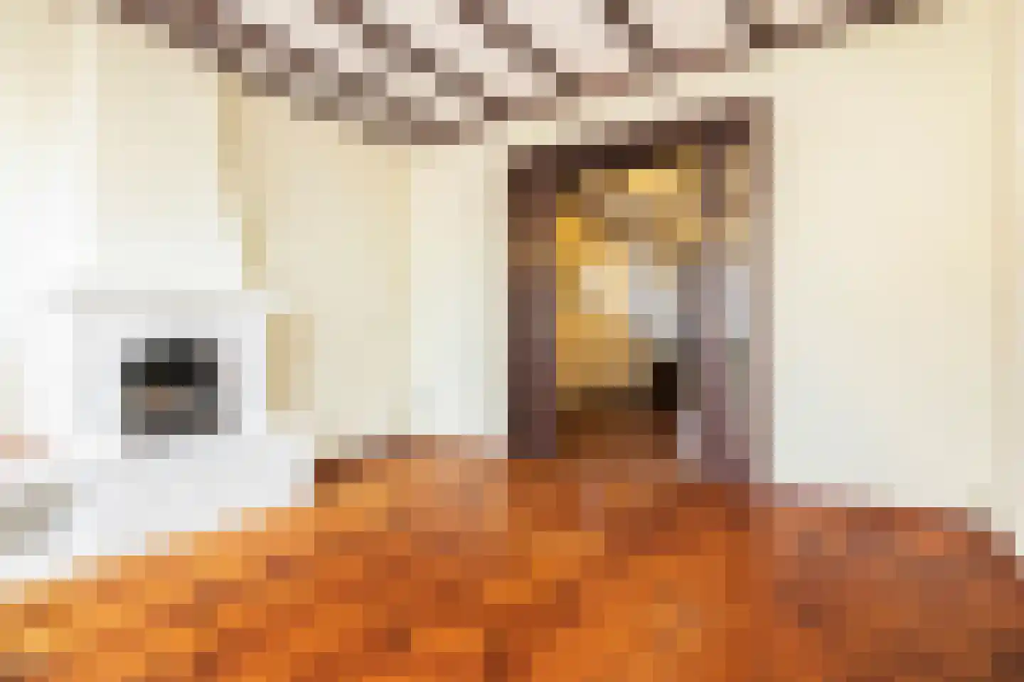 Burg. Slanghenstraat 11 Hoensbroek thumbnail 8