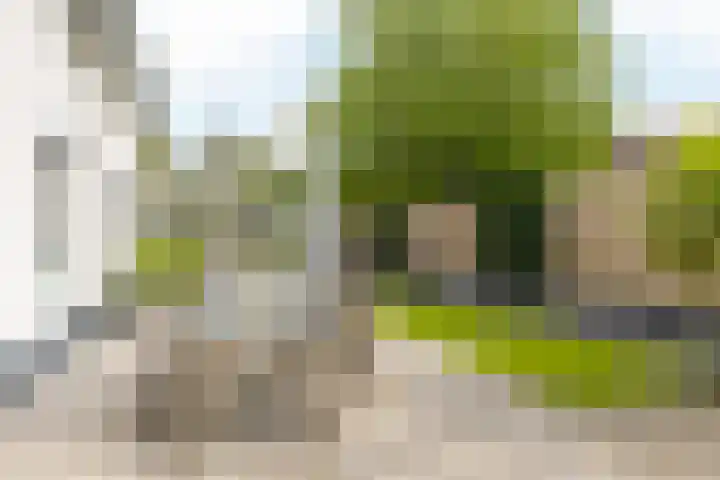 Burg. Slanghenstraat 97 Hoensbroek thumbnail 43