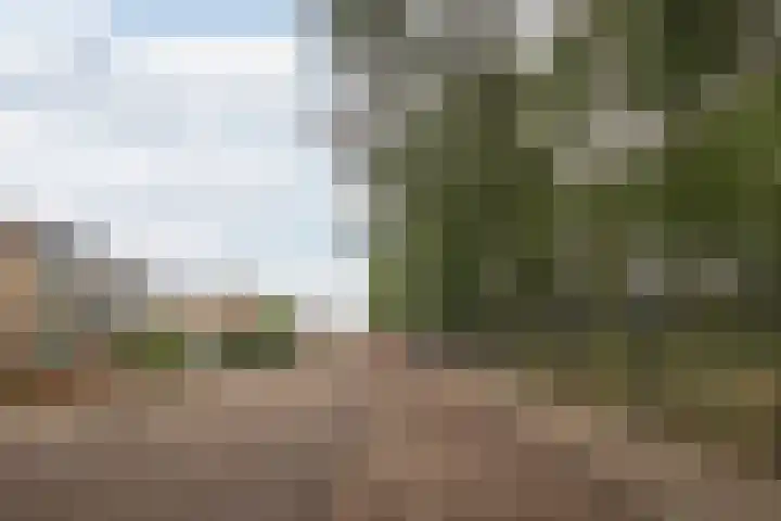 Burg. Smeetsstraat 28 Munstergeleen thumbnail 27